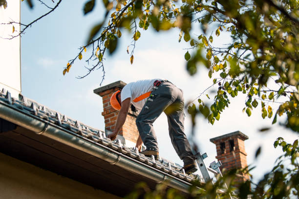 Best Gutter Installation and Roofing  in Puyallup, WA