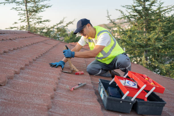 Best Roof Maintenance Services  in Puyallup, WA